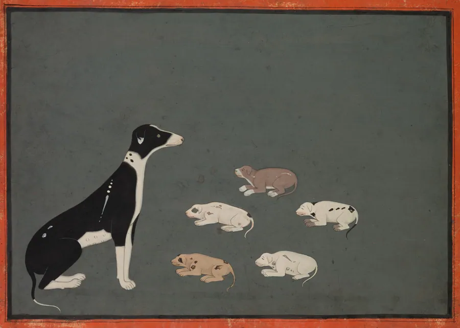 Dog with pups
