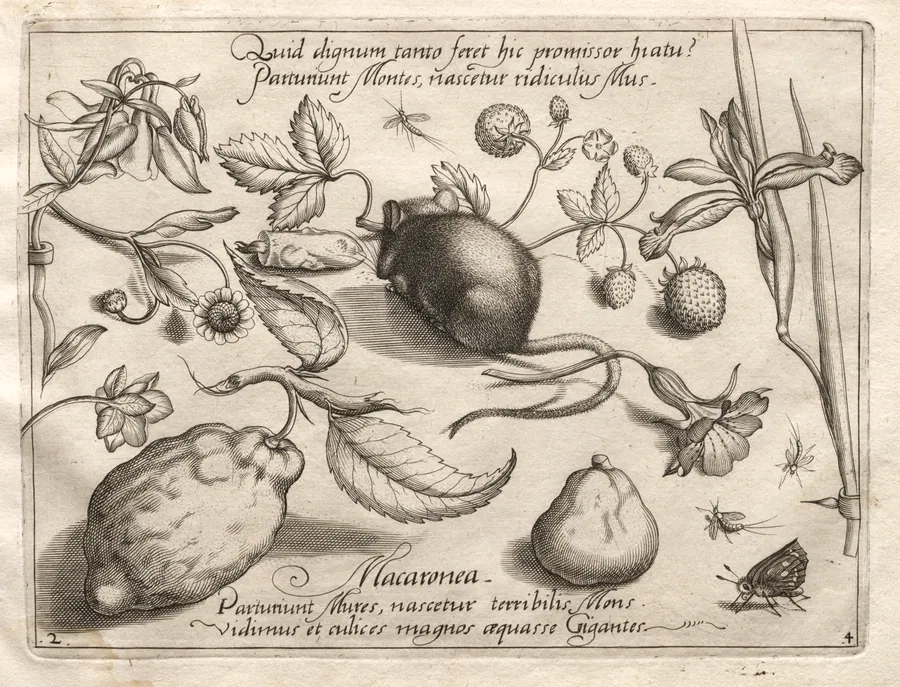 Archetypes and Studies: What can emerge in keeping with such a cavernous promise? (Part IV, plate 2) by Joris Hoefnagel