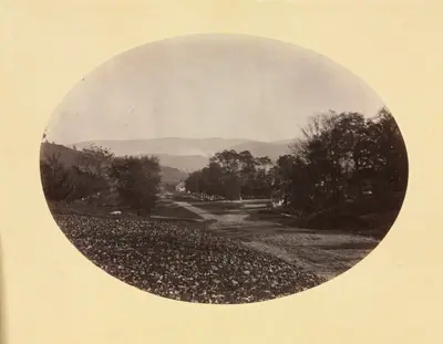 A Road in Williamstown