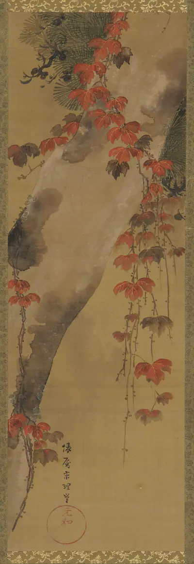 Pine tree and autumn vine