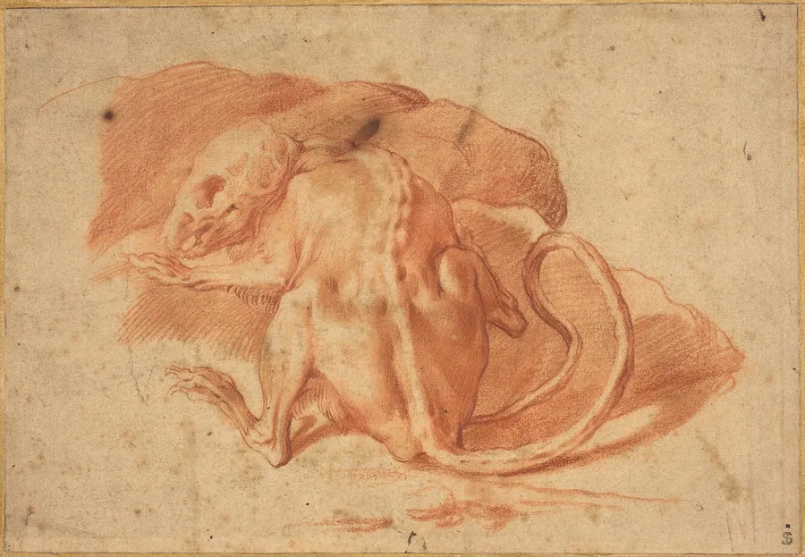 A Partially Skinned Rat by Italian 16th/17th Century
