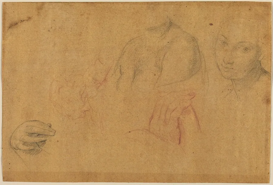 Sketches of Heads and Hands by Pompeo Batoni