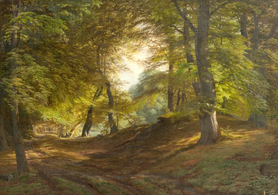 Det indre af en skov. Fra Præstevangen ved Frederiksborg by Godtfred Rump
