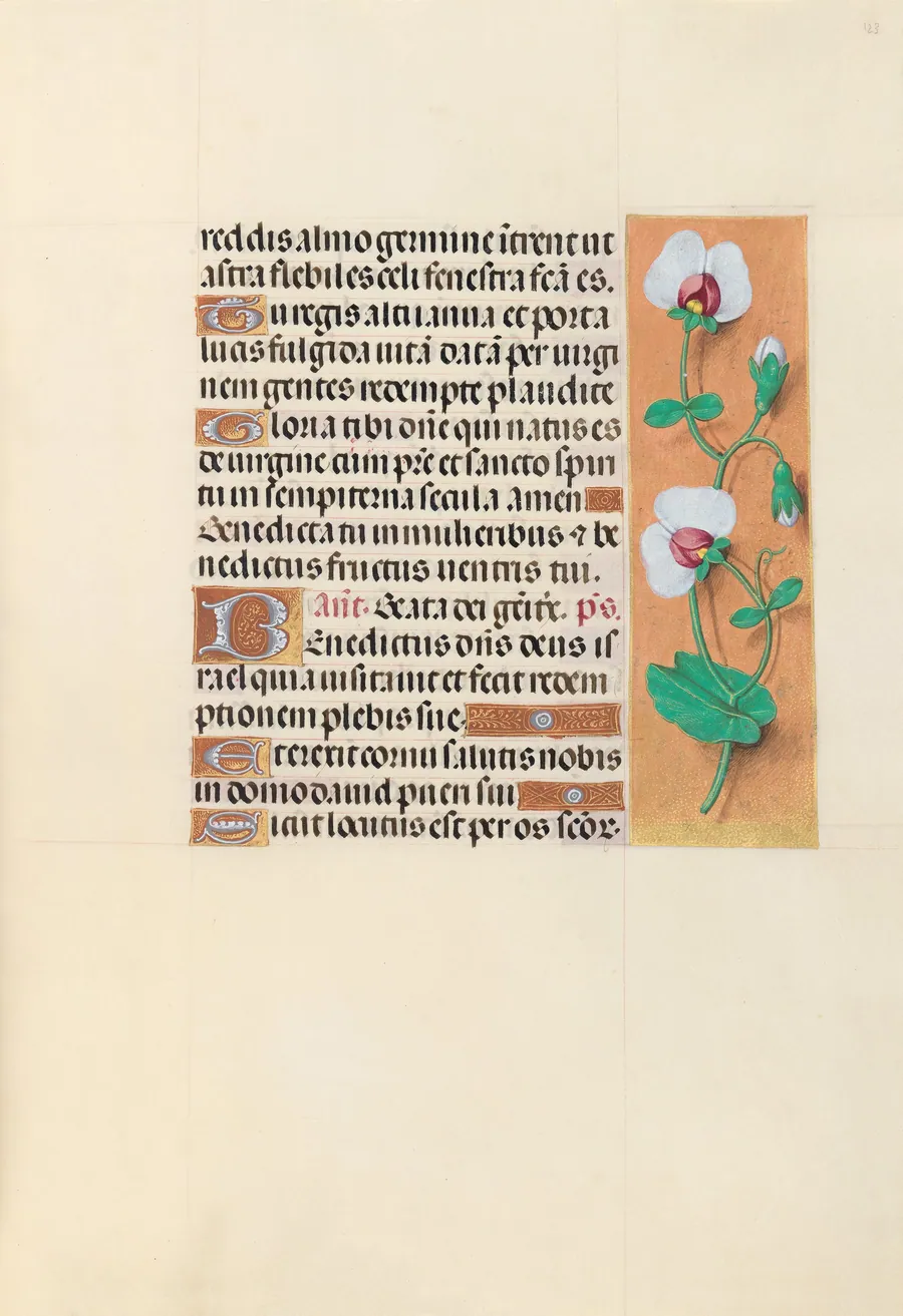 Hours of Queen Isabella the Catholic, Queen of Spain:  Fol. 123r by Master of the First Prayerbook of Maximillian