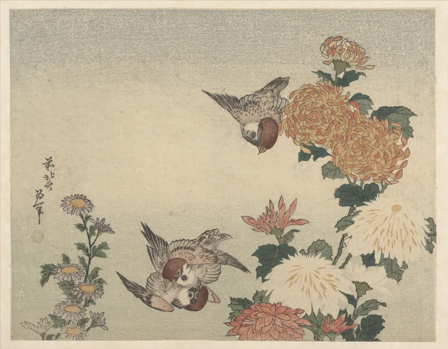 葛飾北斎画　菊に雀|Sparrows and Chrysanthemums by Katsushika Hokusai