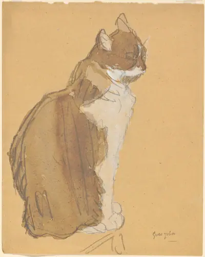 Cat with a White Front
