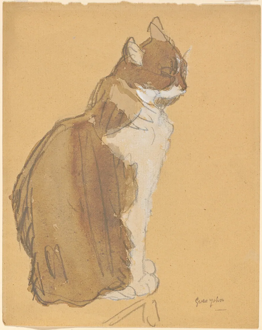 Cat with a White Front by Gwen John