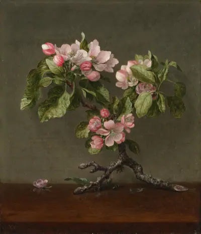 Apple Blossoms