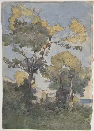 Landscape