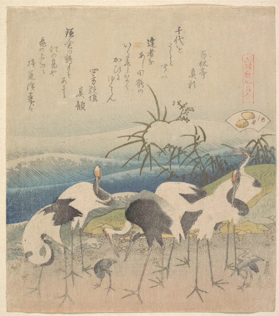 元禄歌仙貝合|Ashi Clam, from the series "Genroku Kasen Kai-awase" by Katsushika Hokusai