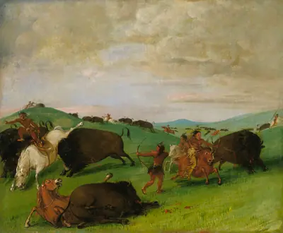 Buffalo Chase, Bulls Making Battle with Men and Horses