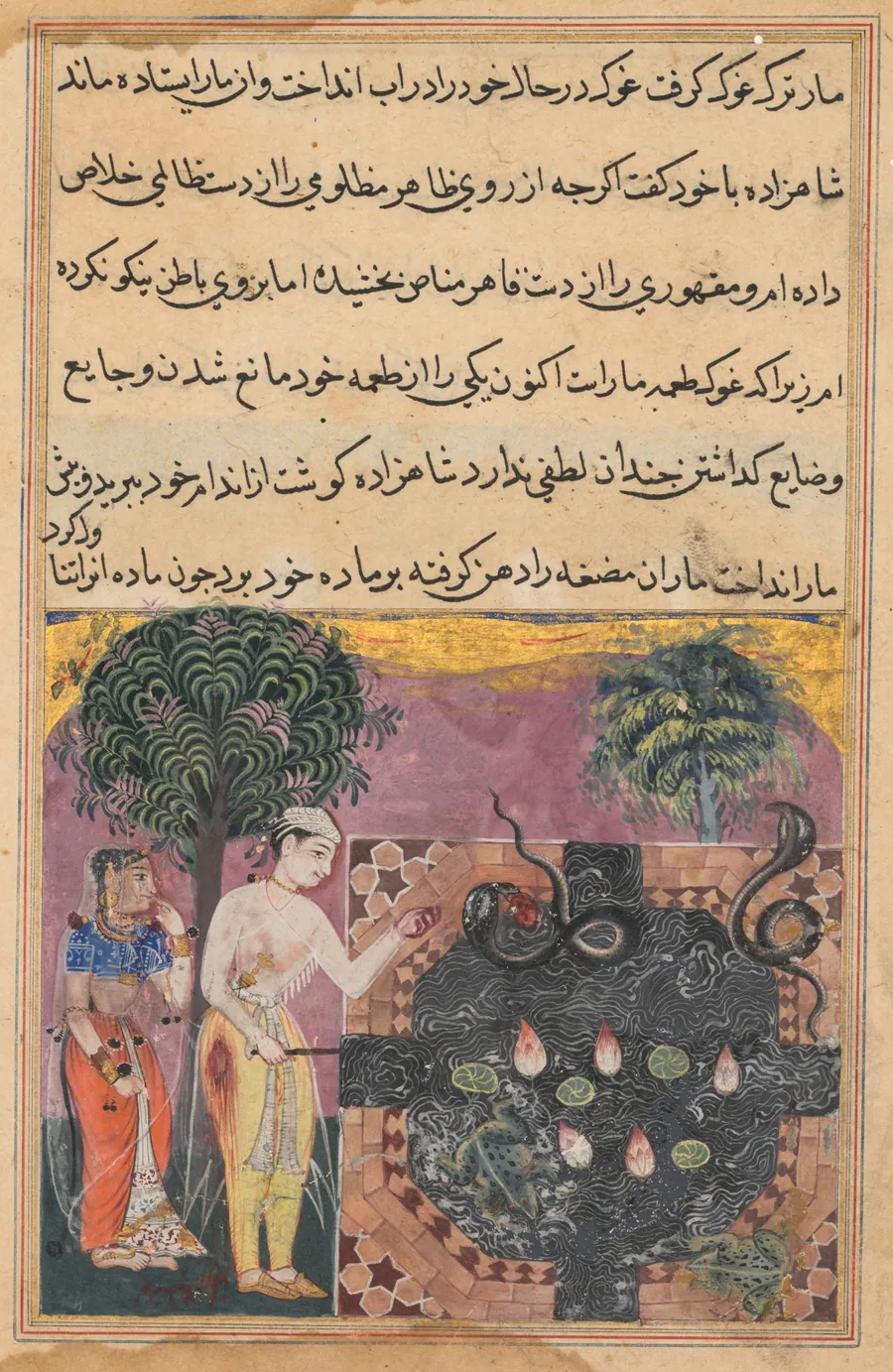 The prince, having deprived the snake of its natural food, a frog, feeds it with a piece of his own flesh, from a Tuti-nama (Tales of a Parrot): Eighteenth Night