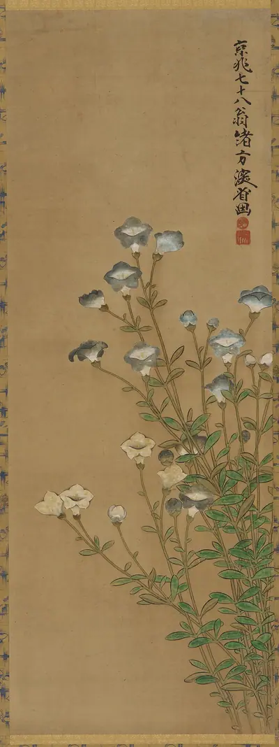 Blue and white flowers on slender stalks