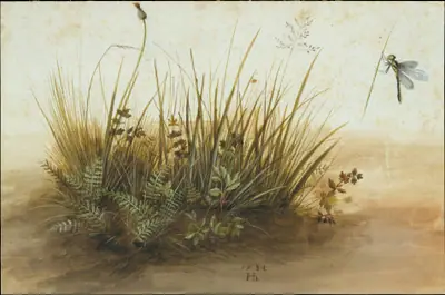 A Small Piece of Turf