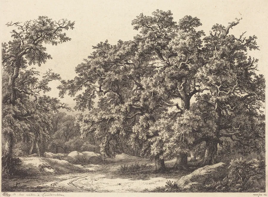 Oaks by Eugène Bléry