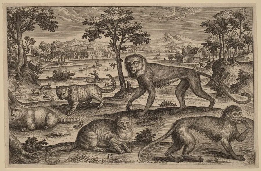 Three Cats and Two Monkeys by Adriaen Collaert