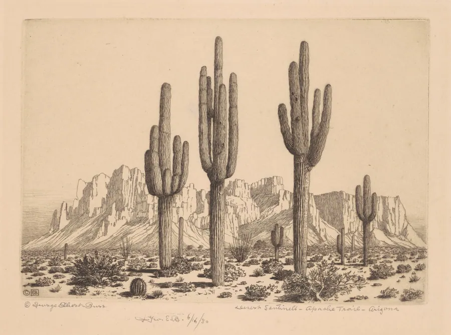 Desert Sentinels, Apache Trail, Arizona by George Elbert Burr