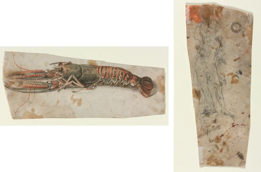 Lobster (recto) Sketch of an Armoured Male Figure (verso) by Anonymous