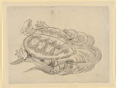 Drawing