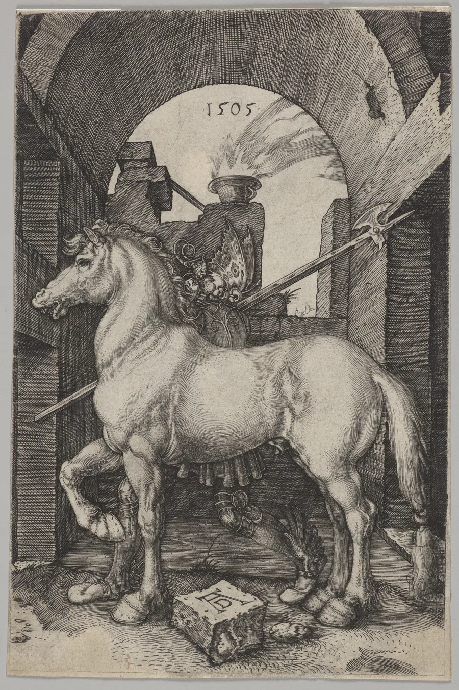 The Small Horse by Albrecht Dürer