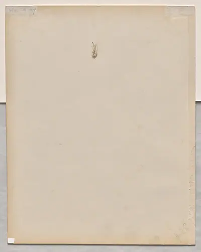 Face in Profile (verso)