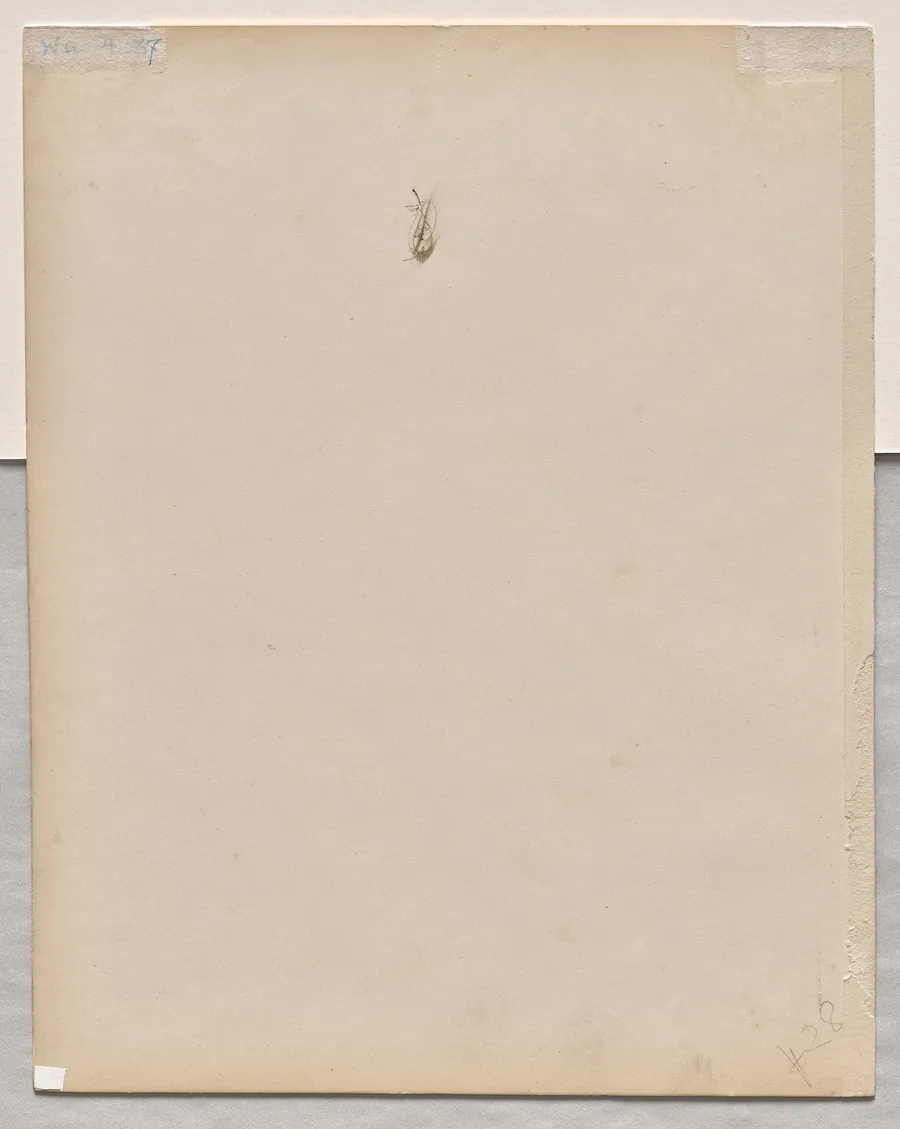 Face in Profile (verso) by Paul Baudry