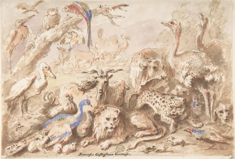 A Congress of Animals by Giovanni Francesco Castiglione