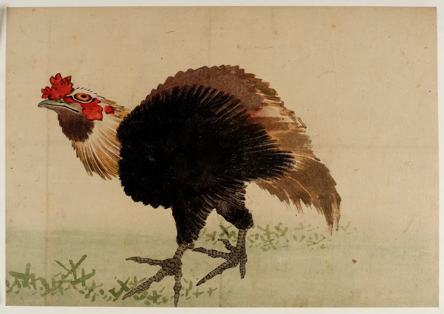 Rooster by Katsushika Hokusai 葛飾北斎 (1760-1849)