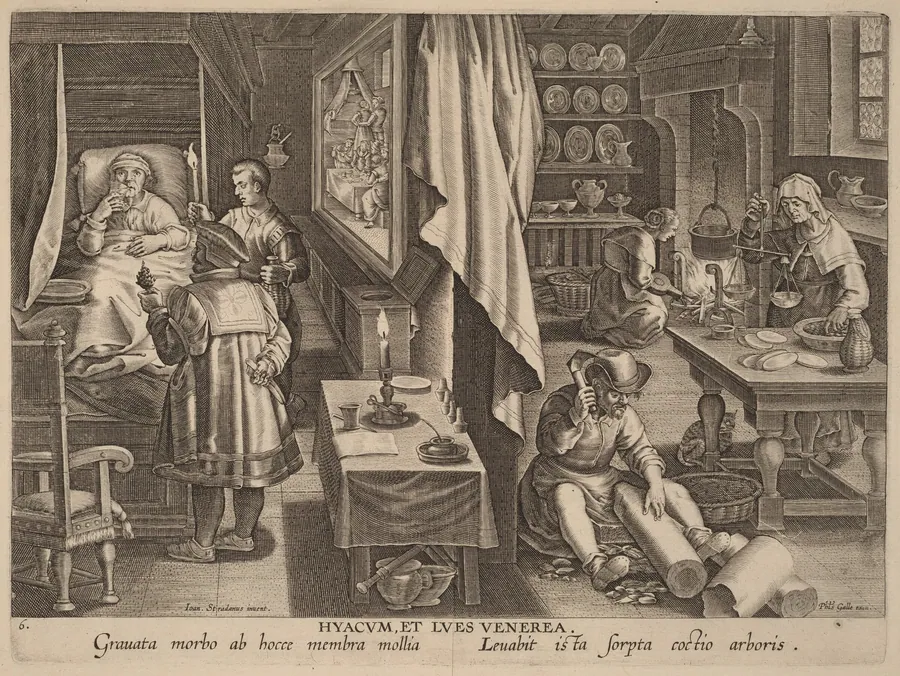 Hyacum, et Lues Venerea (Guaiacum and Venereal Infection) by Philip Galle