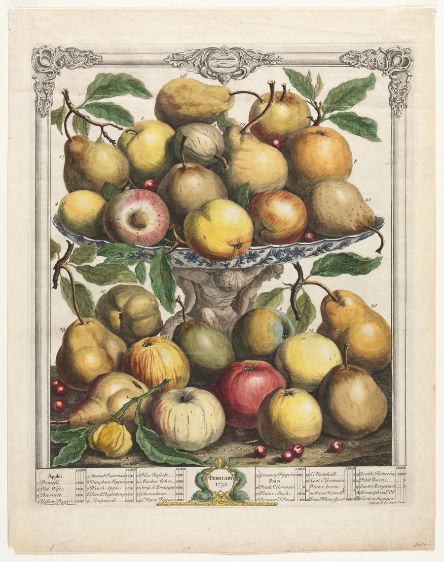 Twelve Months of Fruit:  February by Henry Fletcher