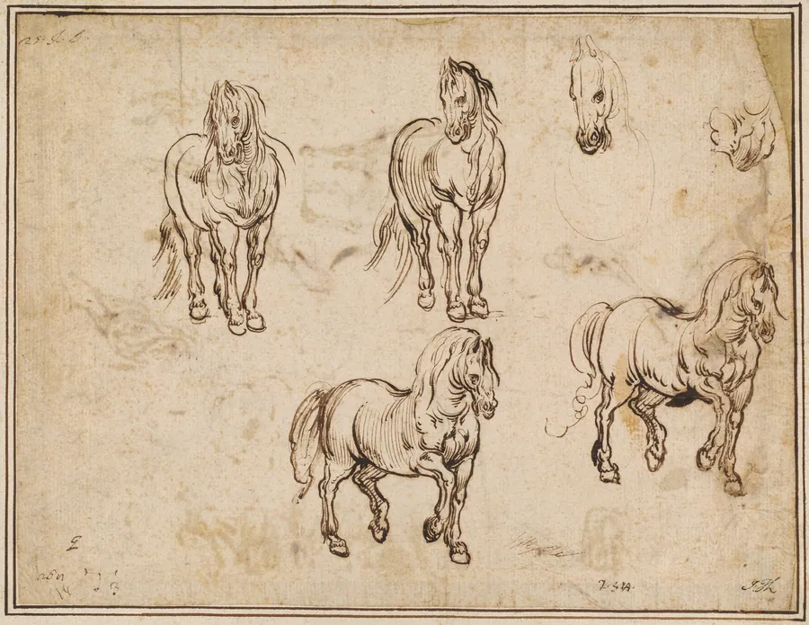 Studies of Horses [recto] by Jacques Callot