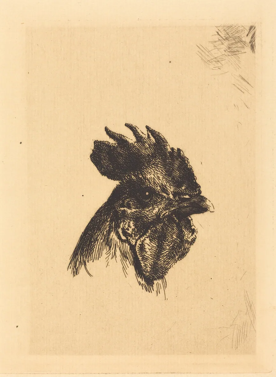 Head of a Cock by Félix Bracquemond