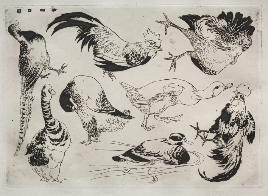 Dinner Service (Rousseau service): Roosters, ducks, etc. (no. 13) by Félix Bracquemond