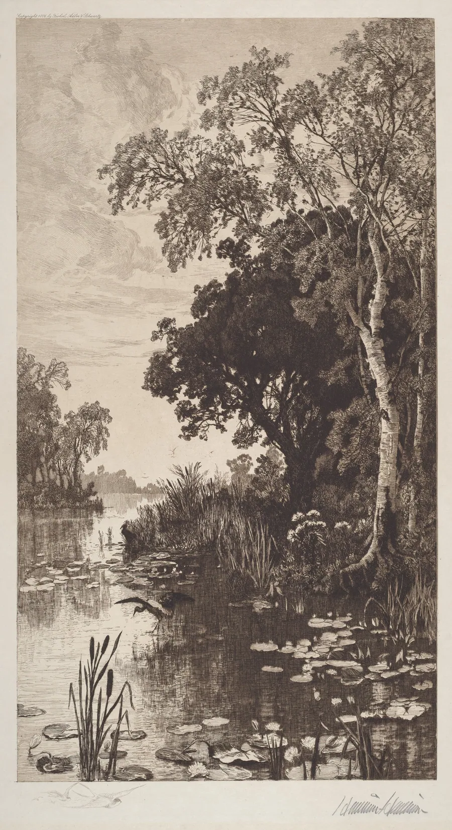 Untitled (Summer) by Hamilton Hamilton