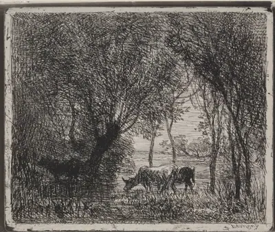 Cows in the Woods