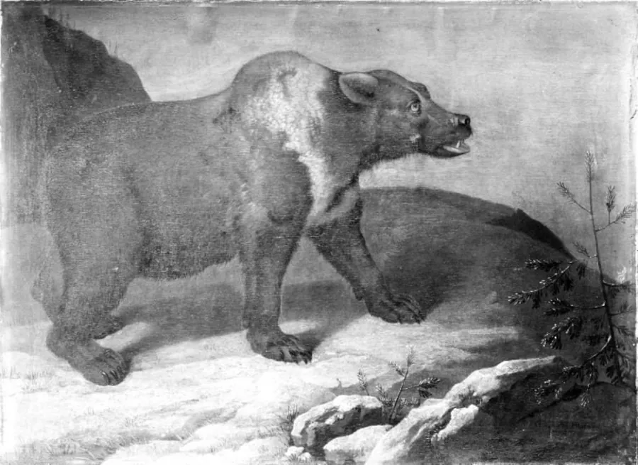 En bjørn i et vinterlandskab by Philipp Ferdinand de Hamilton