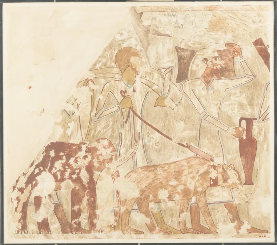 Syrians Bringing an Elephant and a Bear, Tomb of Rekhmire by Nina de Garis Davies