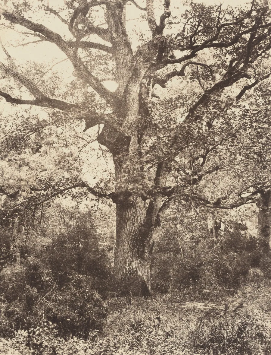 Près du Bodmer by Eugène Cuvelier