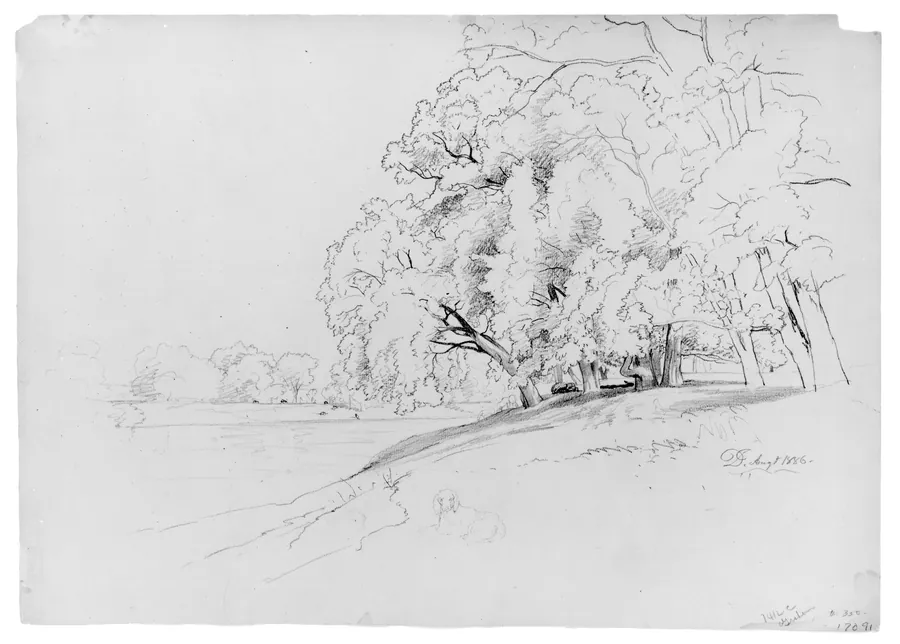 Trees and Dog by David Johnson