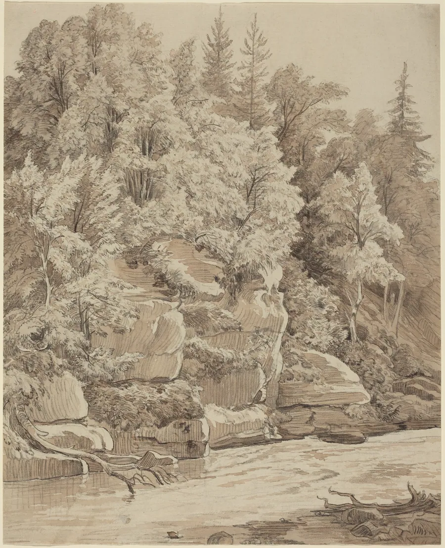 Wooded Cliffs along a Stream by Carl Wagner