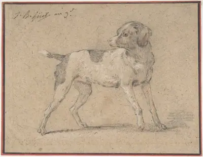 Black and White Dog, Head Turned to the Left