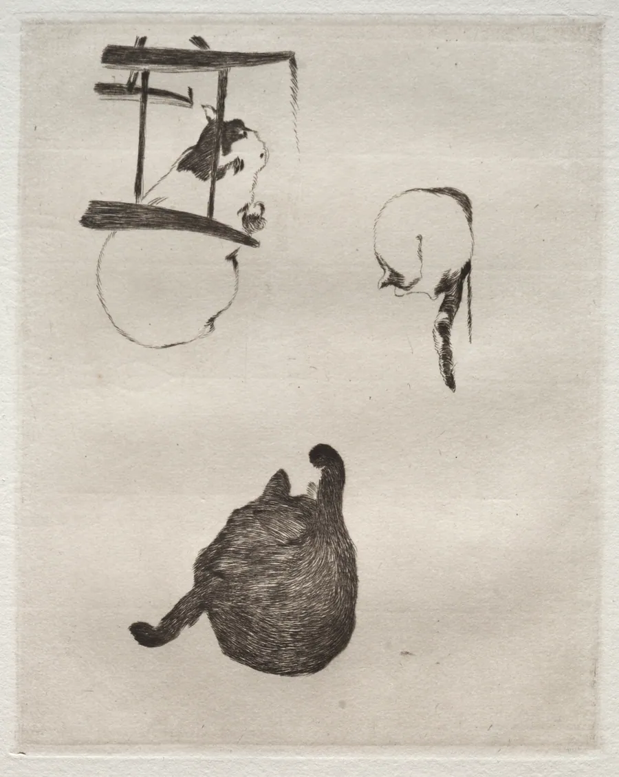 The Cats by Édouard Manet