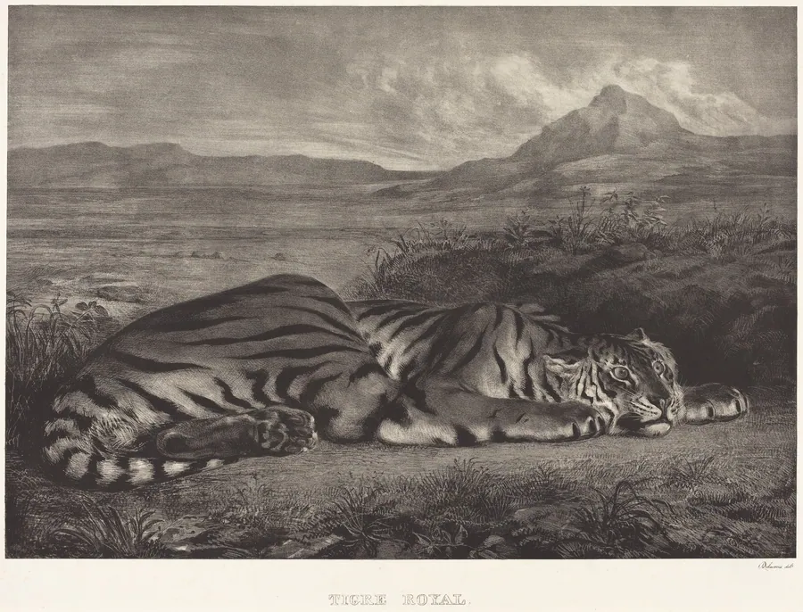 Royal Tiger (Tigre Royal) by Eugène Delacroix
