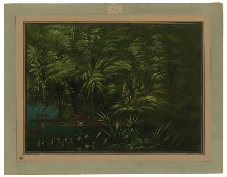 Luxuriant Forest on the Bank of the Amazon by George Catlin