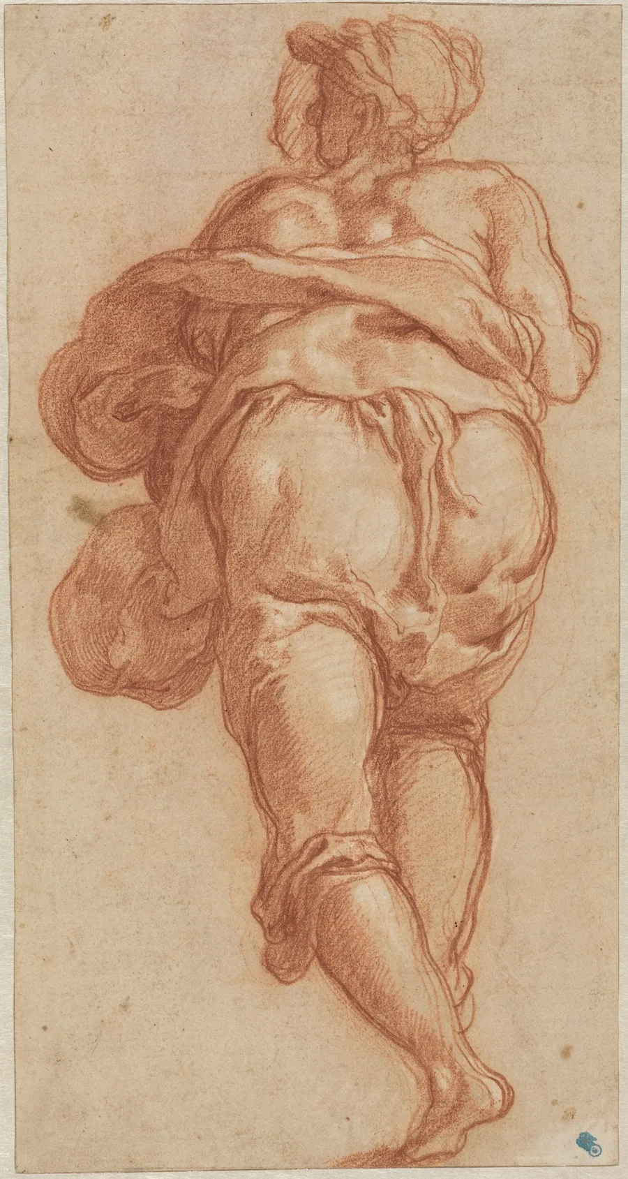 A Man Seen from Behind [recto] by Taddeo Zuccaro