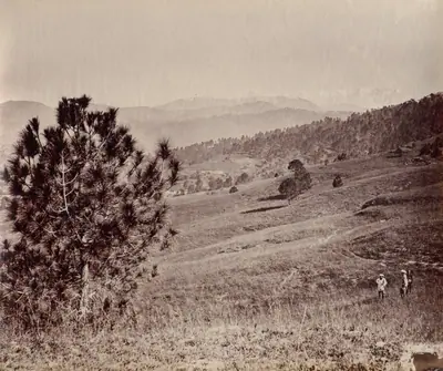 Landscape with Tree and Three Men, India