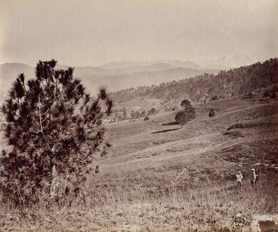 Landscape with Tree and Three Men, India by John Edward Saché