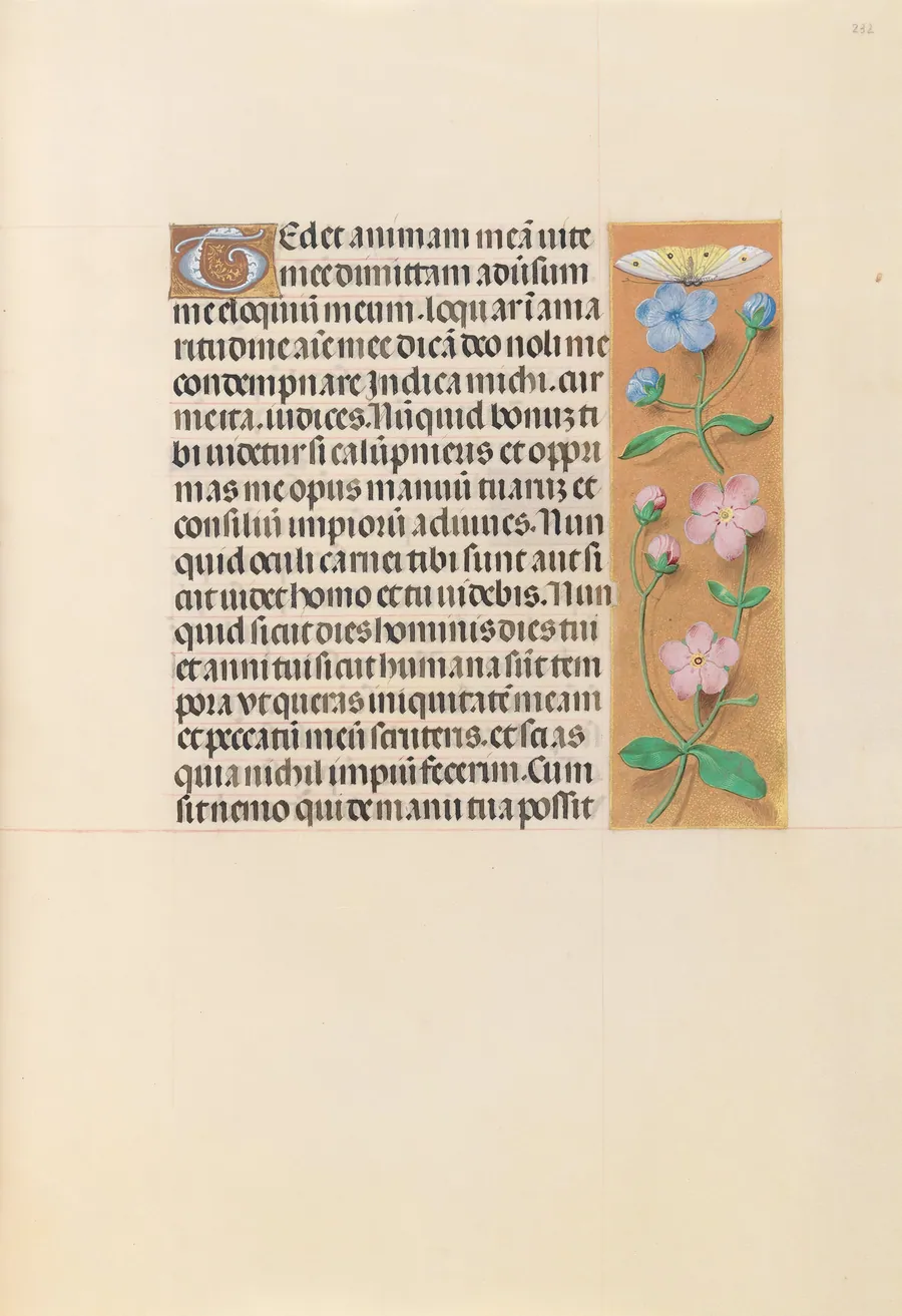 Hours of Queen Isabella the Catholic, Queen of Spain:  Fol. 232r by Master of the First Prayerbook of Maximillian
