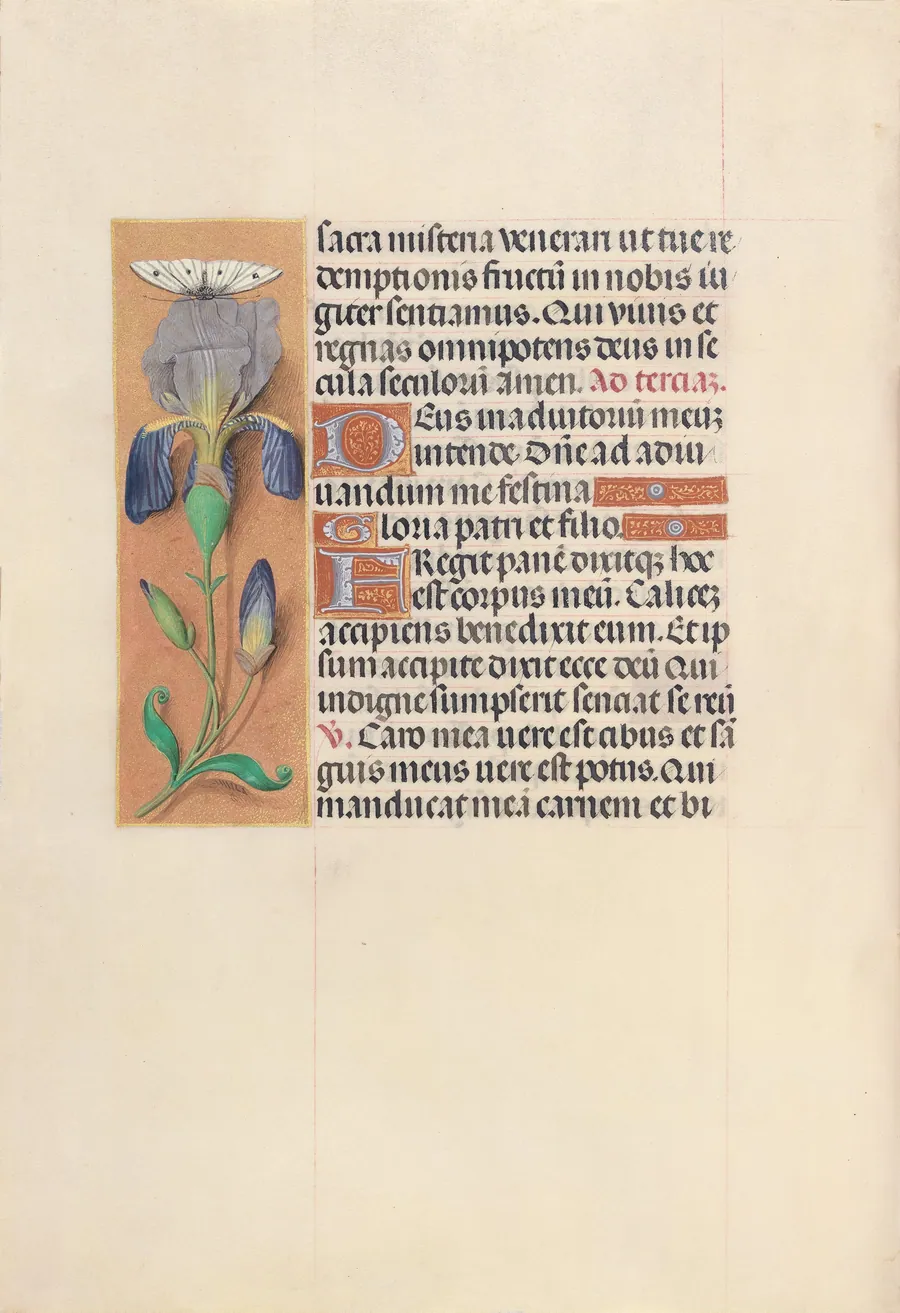 Hours of Queen Isabella the Catholic, Queen of Spain:  Fol. 45v by Master of the First Prayerbook of Maximillian