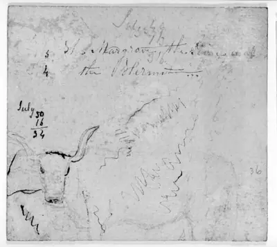 Mathmatical Computaions; Sketch of a Steer; Partial Unidentified Text (from Sketchbook)